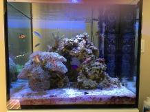 Front view of the Elos tank.